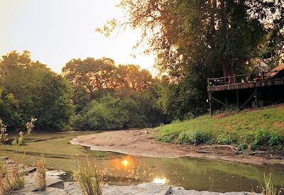 Selous Game Reserve wildlife lion wild dog boat safari Selous Fly In Express Tanzania