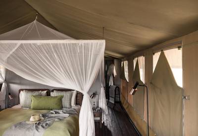 Serengeti National Park Big Five lion cheetah leopard Serengeti Fly In Express Tanzania