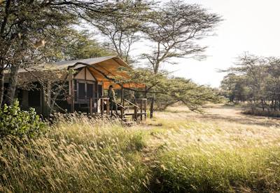 Serengeti plains game drive morning afternoon Sanctuary Kusini Fly In Express Tanzania