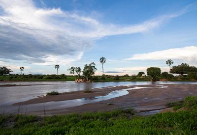 Kwihala Camp Ruaha National Park baobab Mwagusi River Southern Tanzania Zanzibar Safari