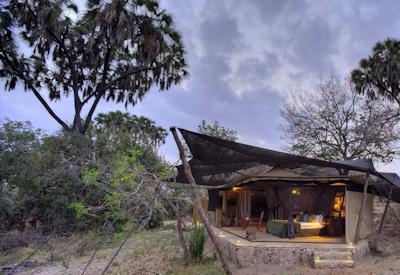 Selous Game Reserve wild dog lion Africa largest Southern Tanzania Zanzibar Safari