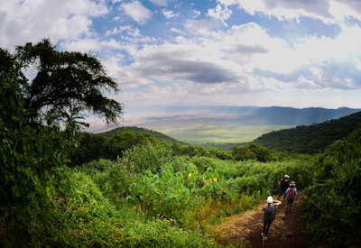 Ngorongoro Crater rim morning mist dawn walking safari Steps Around Ngorongoro Tanzania