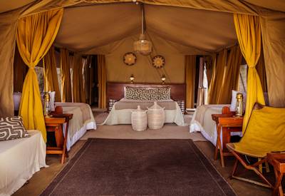 Tarangire National Park baobab elephant Taste of Tented Safari Tanzania