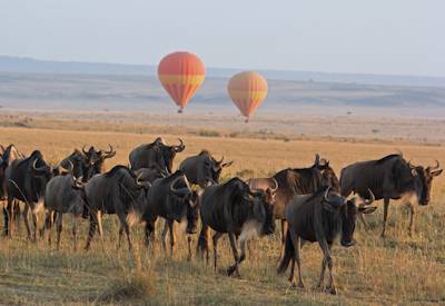 Ngorongoro Crater Big Five picnic Taste of Tented Safari Tanzania