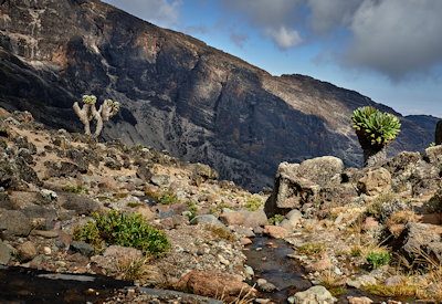 Machame Route rainforest Machame Gate 1800m Shira Plateau views Kilimanjaro Tanzania