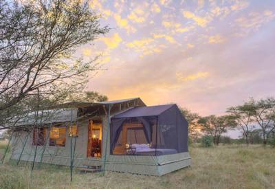 Oliver's Camp Tarangire walking safari Asilia Under Canvas Asilia Tanzania
