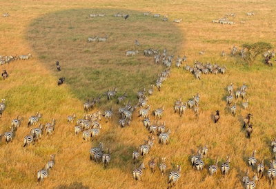 Lake Manyara Serena Lodge Rift Valley escarpment views Vistas Plains Spice Tanzania