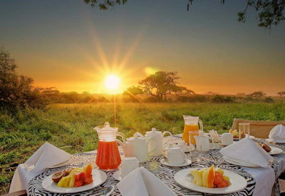 Selous Serena Camp Rufiji River boat safari wild dog Vistas Plains Spice Tanzania