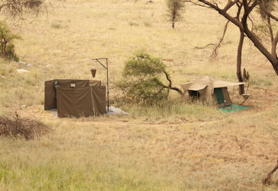 Walking safari Serengeti acacia woodland savannah plains migration Walk Great Migration