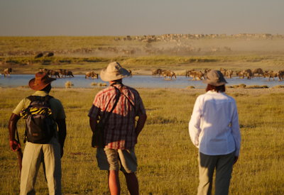 Seronera Airstrip transfer Dunia Camp Walk The Great Migration Serengeti Tanzania