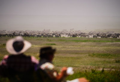 Great Migration wildebeest herds on foot Serengeti Walk The Great Migration Tanzania