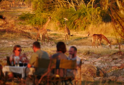 Walk The Great Migration 7 days from US$5882 Wayo Africa Serengeti Tanzania