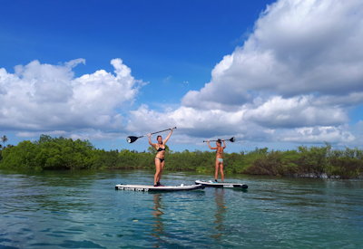 Zanzibar snorkelling coral reef Mnemba Atoll wellness Zanzibar Health Wellness