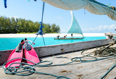 Scuba diving coral reef Mnemba Atoll Zanzibar Water Sports Safari Tanzania