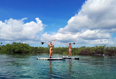 Snorkelling Mnemba Atoll marine life Zanzibar Water Sports Safari Tanzania
