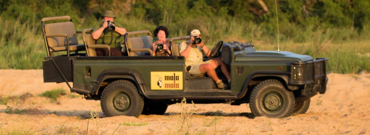 Photography On Safari