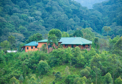 Gorilla Valley Lodge close mountain gorillas border Bwindi Forest Uganda