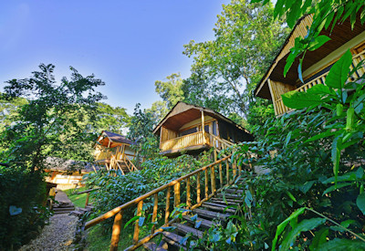 Buhoma Lodge 10 forest chalets locally sourced materials Bwindi Uganda