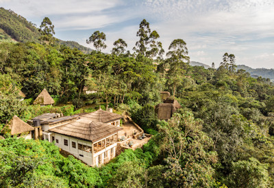 Volcanoes Bwindi Lodge stunning Bwindi Impenetrable Forest canopy views Uganda