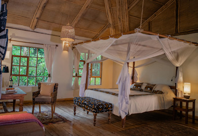 Volcanoes Bwindi Lodge spacious banda private balcony Bwindi Forest Uganda