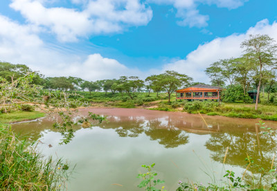 Chobe Safari Lodge bush breakfast unique experience Murchison Falls Uganda