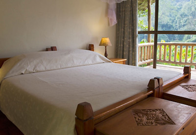 Engagi Lodge forest cottage double twin bed banana fibre thatch Bwindi Uganda
