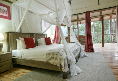 Gorilla Safari Lodge deluxe log cabin chalet 5-minute walk trekking Uganda