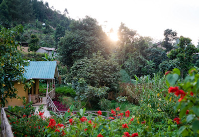 Gorilla Safari Lodge 21 well-appointed log cabin chalet Bwindi Uganda
