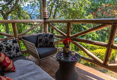 Gorilla Safari Lodge gorilla trekking habituation experience Bwindi Uganda