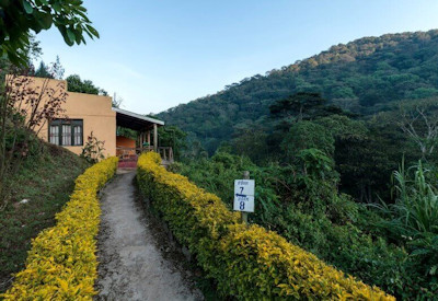 Gorilla Valley Lodge forest alive night sounds Bwindi Impenetrable Uganda