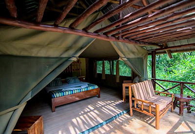 Kibale Forest Camp mid-range value tented suite Kibale National Park Uganda