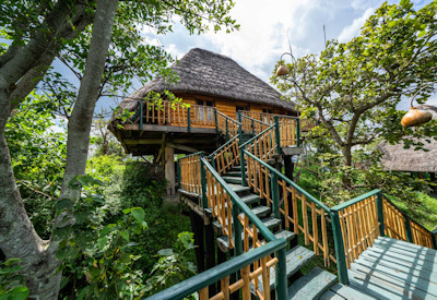 Kyaninga Lodge thatched cottage private deck Lake Kyaninga Rwenzori Mountains Uganda