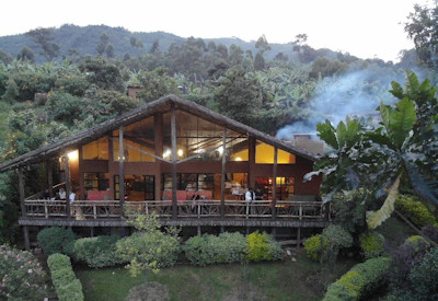 Mahogany Springs Lodge Bwindi Impenetrable Forest Munyanga River Uganda