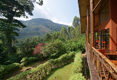 Mahogany Springs Lodge gorilla trekking meeting point Bwindi Impenetrable Uganda