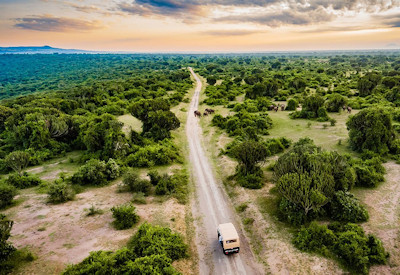 Mweya Safari Lodge game drive Kyambura Gorge chimpanzee tracking Uganda