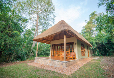 Primate Lodge Kibale secluded forest canopy cottage Kibale National Park Uganda