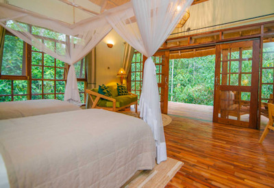 Primate Lodge Kibale cottage forest views Kanyanchu chimpanzee tracking Uganda