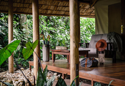Sanctuary Gorilla Forest Camp thatched tented suite indigenous prints Uganda