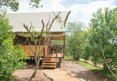 The Bush Lodge budget-friendly banda raised wooden platform Queen Elizabeth Uganda