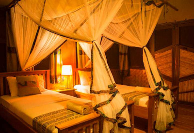 The Bush Lodge bush retreat indigenous flora Queen Elizabeth Uganda