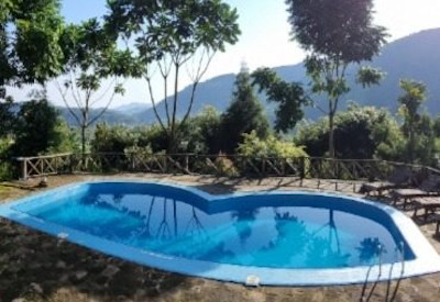 Trackers Safari Lodge swimming pool lush greenery Bwindi Forest Uganda