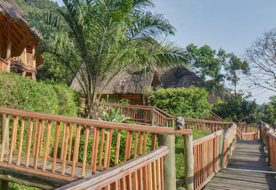 Trackers Safari Lodge mighty Bwindi Forest 180 degree views Uganda