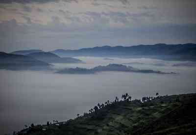 Bwindi Impenetrable Forest UNESCO World Heritage Uganda Fly In Safari gorilla trekking