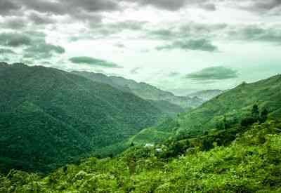 Budongo Central Forest Reserve chimpanzee trekking Budget Gorilla Safari Uganda