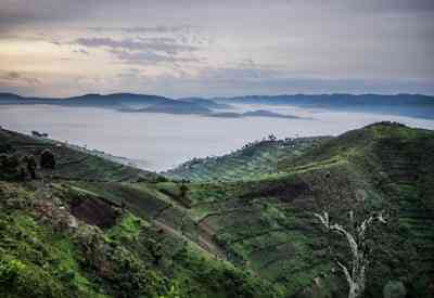 Bwindi Impenetrable Forest National Park UNESCO World Heritage Uganda gorilla trekking
