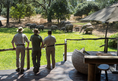 Handcrafted wood and thatch luxury chalet interior with private views at Bilimungwe Bushcamp