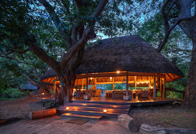 Spectacular wildlife viewing directly from the elevated guest lounge areas at Bilimungwe Bushcamp