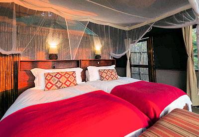 Busanga Bush Camp comfortable beds overlooking grazing herds Busanga Plains Zambia