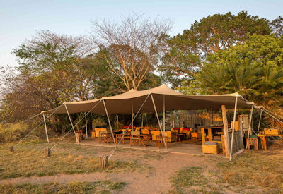 Busanga Bush Camp lounge dining sycamore fig trees Busanga Plains Kafue Zambia