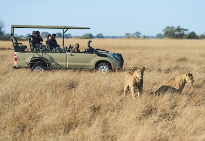 Busanga Bush Camp game drive specialist birding Chaplin's Barbet 491 species Kafue Zambia